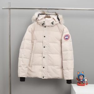 Canada goose white
